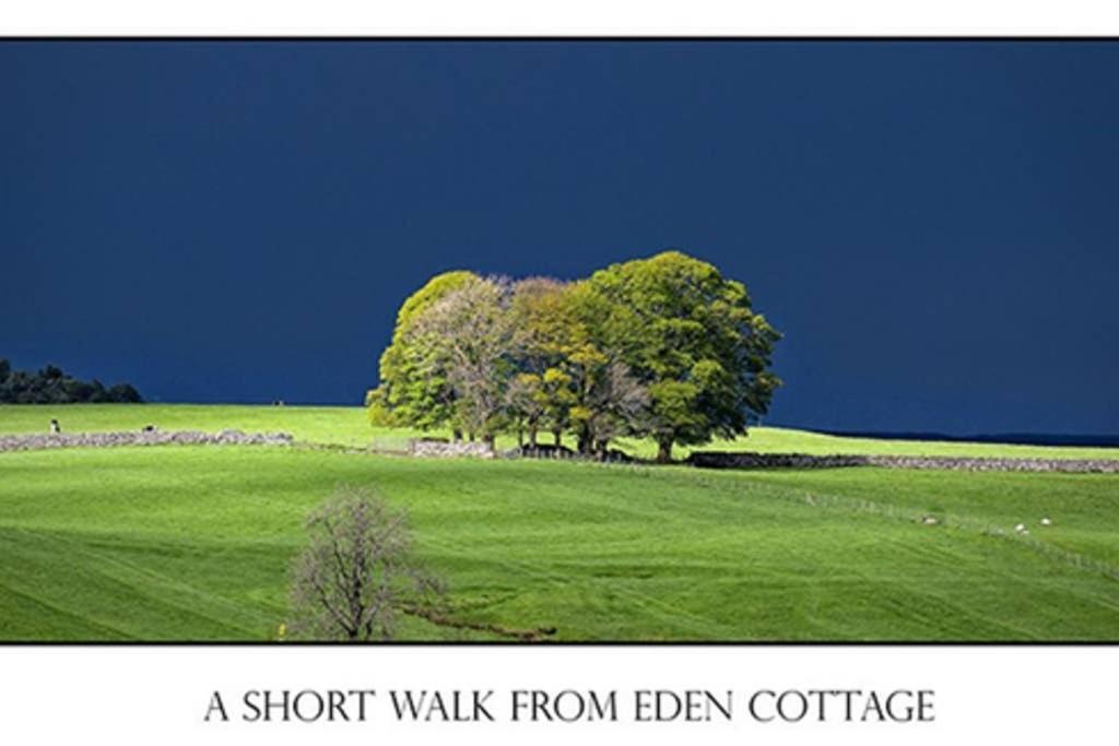 Lake District Cottage In 1 Acre Gardens Off M6 Penrith Eksteriør billede
